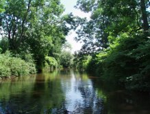 Říkáte si, pěkná voda na mokrou mušku, je to tak? Máte pravdu, ale suchý chrostík je tu ještě lepší!