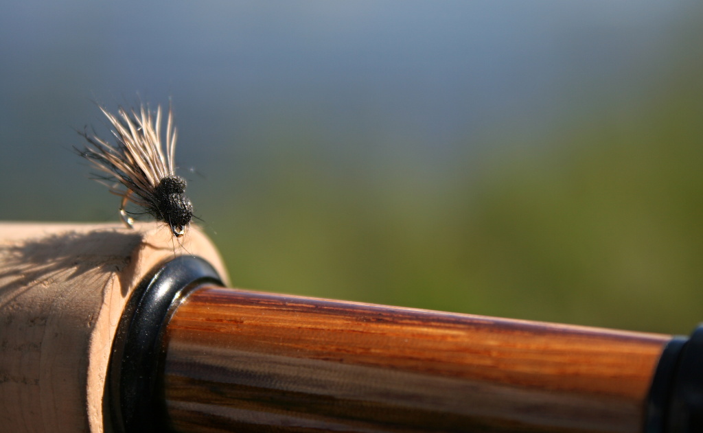 Balloon Caddis - Skv�l� such� vzor pro hladov� tlou�t� a samoz�ejm� i pstruhy