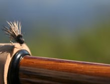 Balloon Caddis - Skvělý suchý vzor pro hladové tlouště a samozřejmě i pstruhy