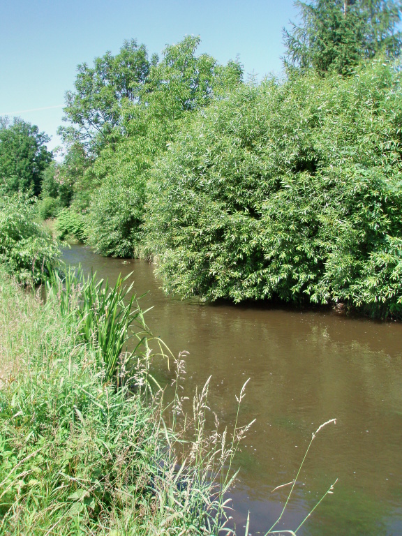 A m��eme za��t - Ide�ln� m�sto pro letn� chyt�n� tlou���