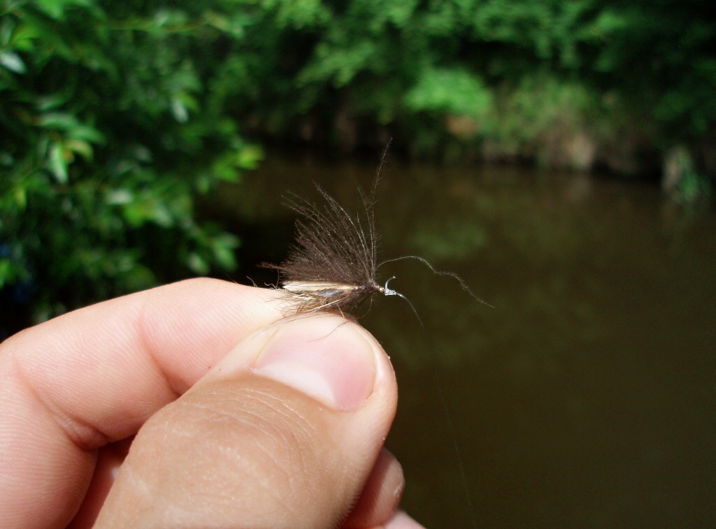 Je �as vyzkou�et dal�� vzor - Tentokr�t padla volba na v�rnou napodobeninu dosp�l�ho chrost�ka jm�nem CJ CDC Caddis