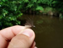Je čas vyzkoušet další vzor - Tentokrát padla volba na věrnou napodobeninu dospělého chrostíka jménem CJ CDC Caddis