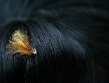 Cinnamon Championship Caddis - Jednoduchý, lehoučký a velice účinný! Ale teď ticho, je právě čas jeho oblíbeného odpočinku v černých dívčích vlasech.