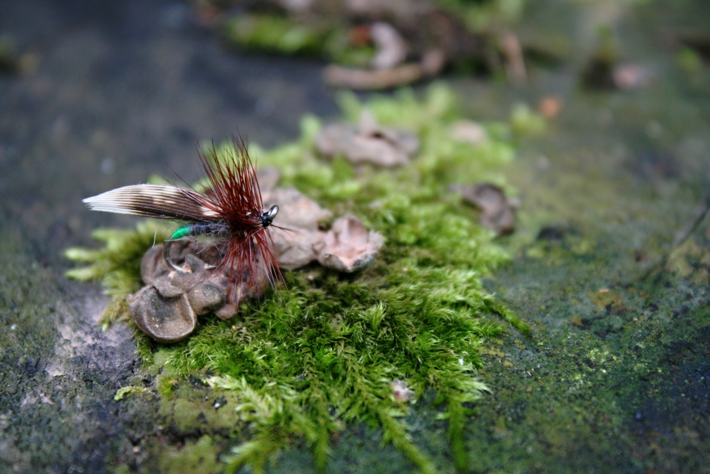 Grannom Sedge - Rozko�n� mal� klasika s o�kem nahoru. M�j obl�ben� vzor tradi�n� v�zan�ho mal�ho chrost�ka s velk�m potenci�lem! 