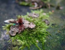 Grannom Sedge - Rozkošná malá klasika s očkem nahoru. Můj oblíbený vzor tradičně vázaného malého chrostíka s velkým potenciálem!