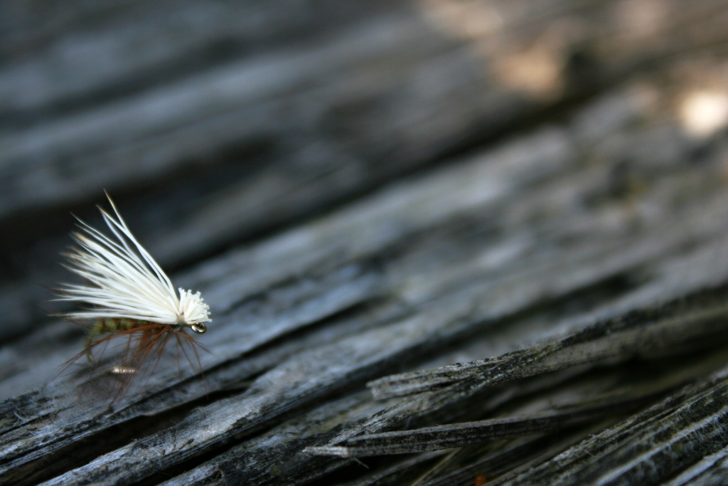 Elk Wing Caddis - Naprost� a �asem ov��en� klasika! Jednoduch� pstruhov� mu�ka ��inn� po cel�m sv�t�.