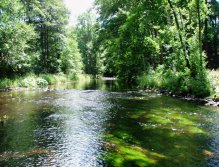 Místo činu - Skvělé místo pro lov pstruhů na suché chrostíky.