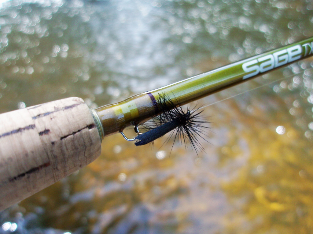 Caddis Black do akce... Velk� moucha, velk� ryba!