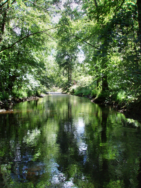 Skv�l� m�sto pro v�echny mu�ka�sk� metody. Pro m� je v�ak v�t�zem such� mu�ka!