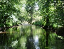 Skvělé místo pro všechny muškařské metody. Pro mě je však vítězem suchá muška!