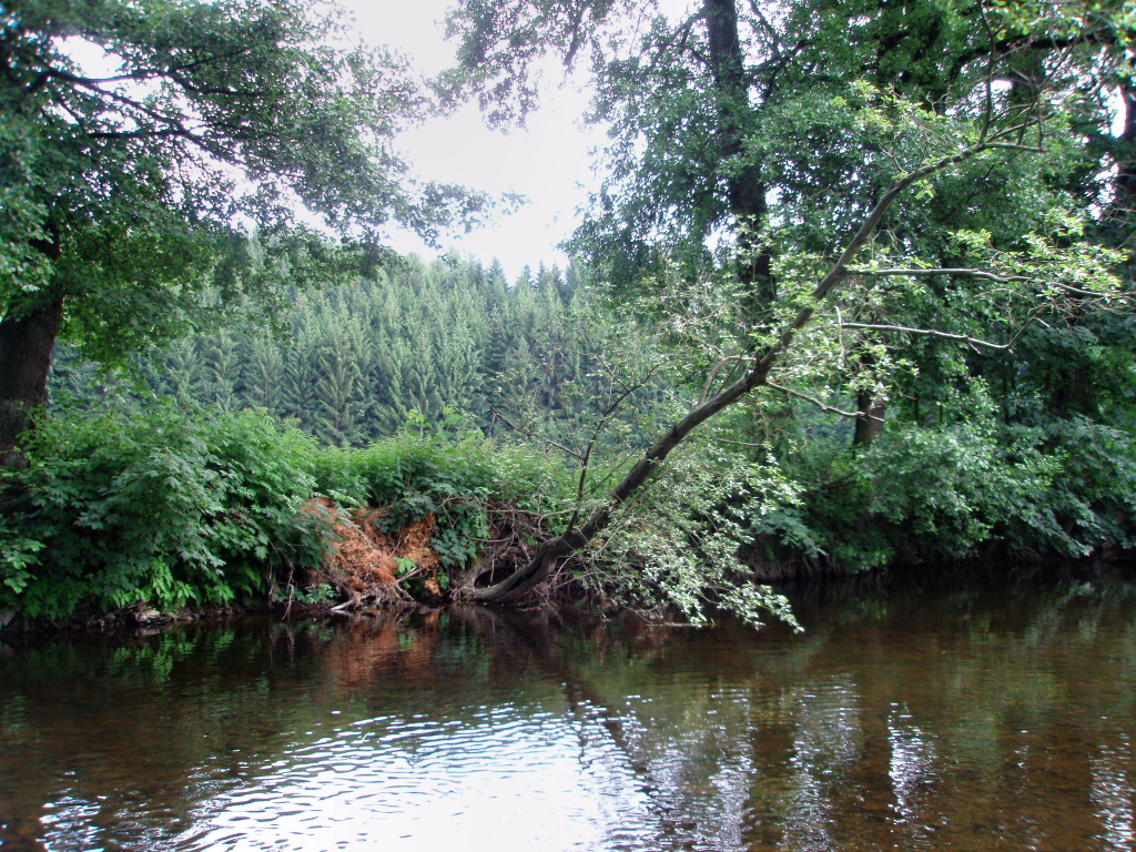 Velice dobr� flek pod stromem ukr�vaj�c� p�kn� poto��ky!