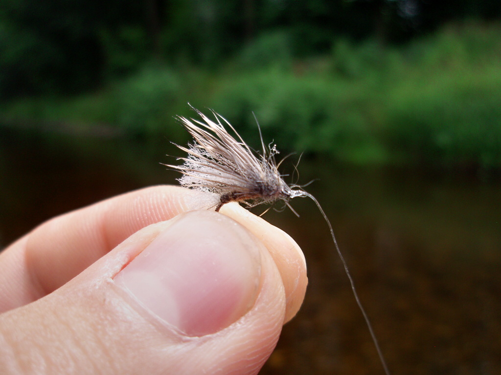 Za��k�v�n� mu�ky Retirer Sedge - Jdi a chytej!