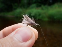 Zaříkávání mušky Retirer Sedge - Jdi a chytej!