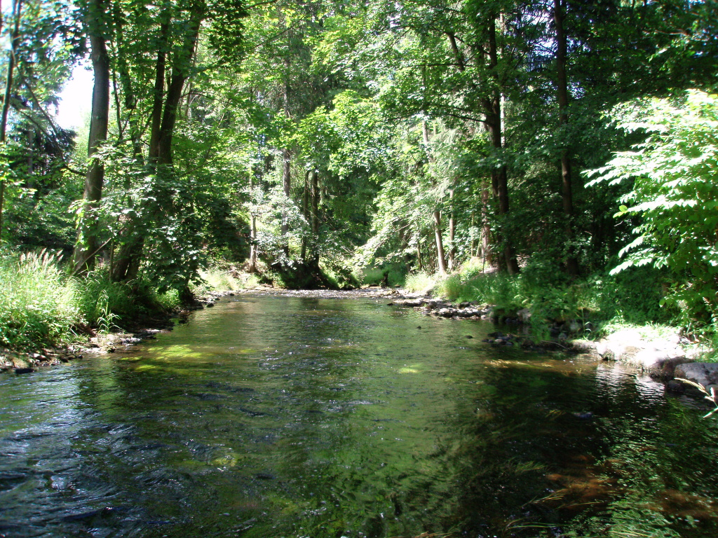 Pohled na prochytan� m�sto, kter� p�ineslo n�kolik p�kn�ch te�kovan�ch �lovk�.