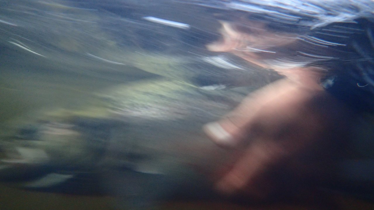 Fotka, co se nepovedla