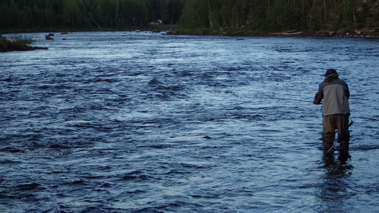 Ve�ern� lov losos�