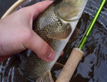 Malá parma jakožto překvapení dne.