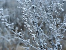 Mocná příroda a další její umělecké dílo.