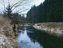 Krása zimní řeky a jejího okolí.