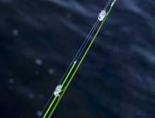 V zimě je největším problémem zamrzání oček a navijáku.