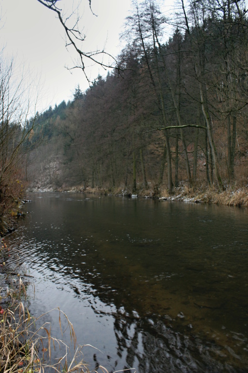 Uklid�uj�c� pohled na zimn� �eku.