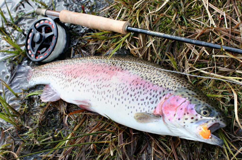 Blob! Psychadelick�, ale v�born� jarn� "mu�ka" pro nezku�en� nasazen� duh�ky.