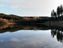 Hladina jako zrcadlo. Nepopulární etapa, o to horší, když je doprovázena nulovou aktivitou ryb. Ale nic není ztraceno! To, že je mrtvá hladina, neznamená, že to samé platí pro život pod ní!