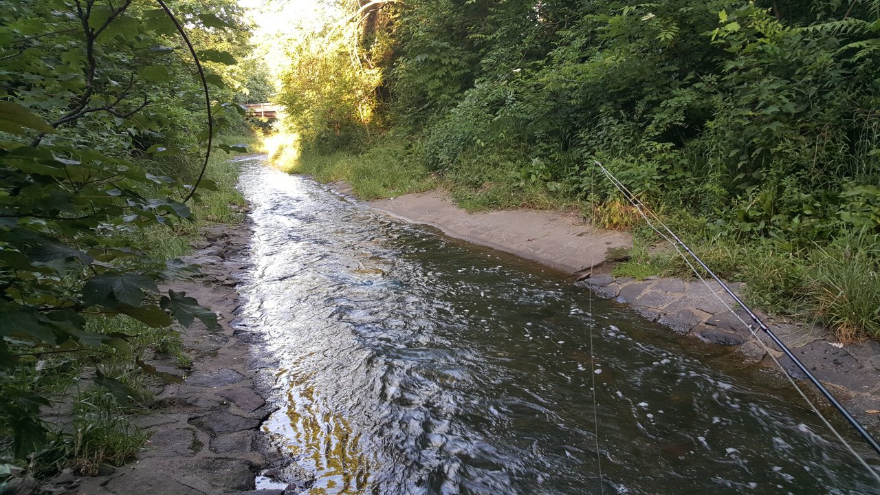 I zde se d� ulovit ryba