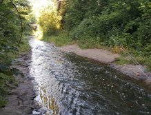 I zde se dá ulovit ryba