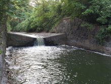 Tůň na Botiči pod Grébovkou