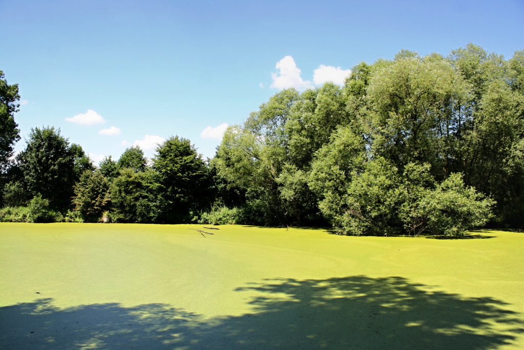 M�sto zarostl� ok�ehkem! Nyn� mus�me jen poslouchat a hledat ryb� aktivitu... Nebo j�t na vychlazen� pivko!