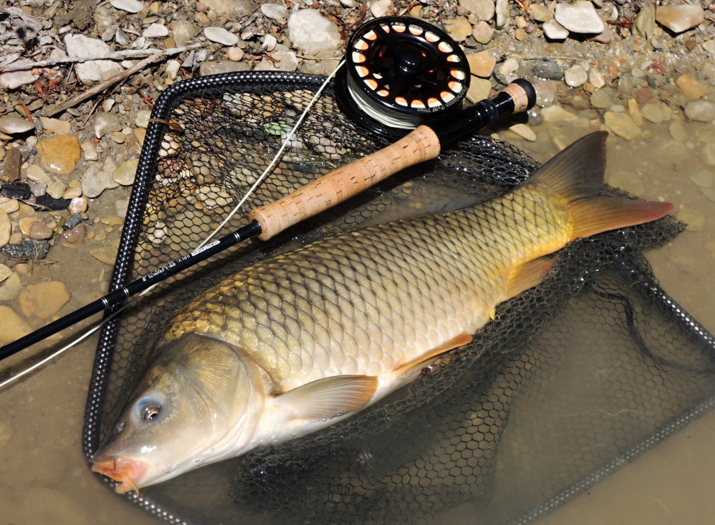 Tro�ku huben�, ale o to v�ce bojovn�.