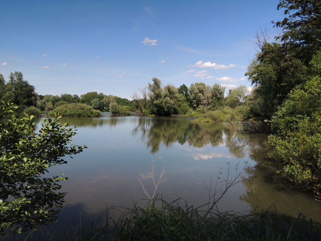 Naprosto perfektn� m�sto pro m� letn� v�lety za kapry!