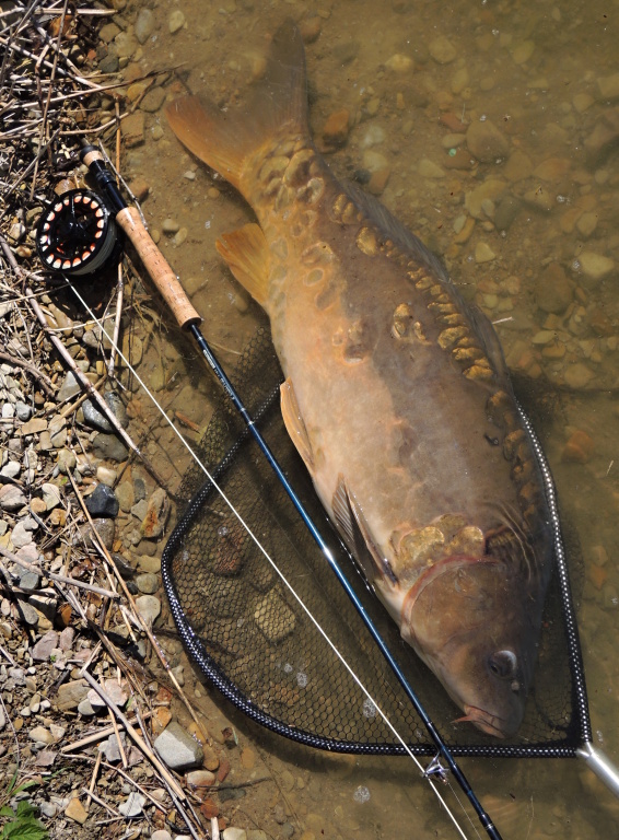 A tady je v cel� sv� kr�se!