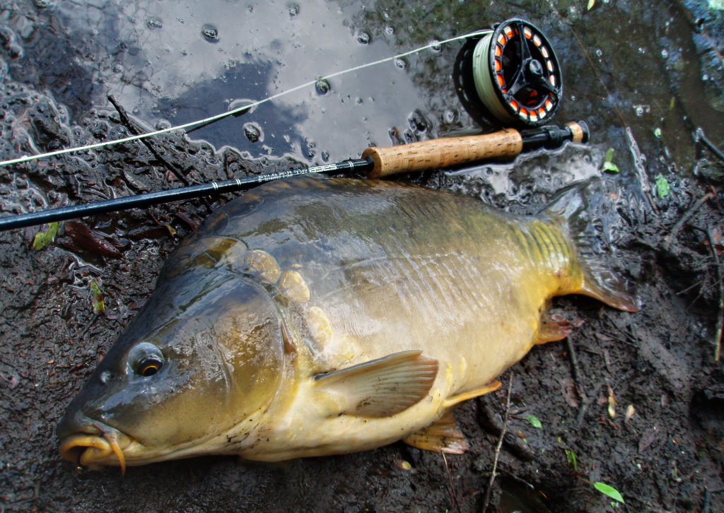 Jako nap�. v tomto p��pad�!