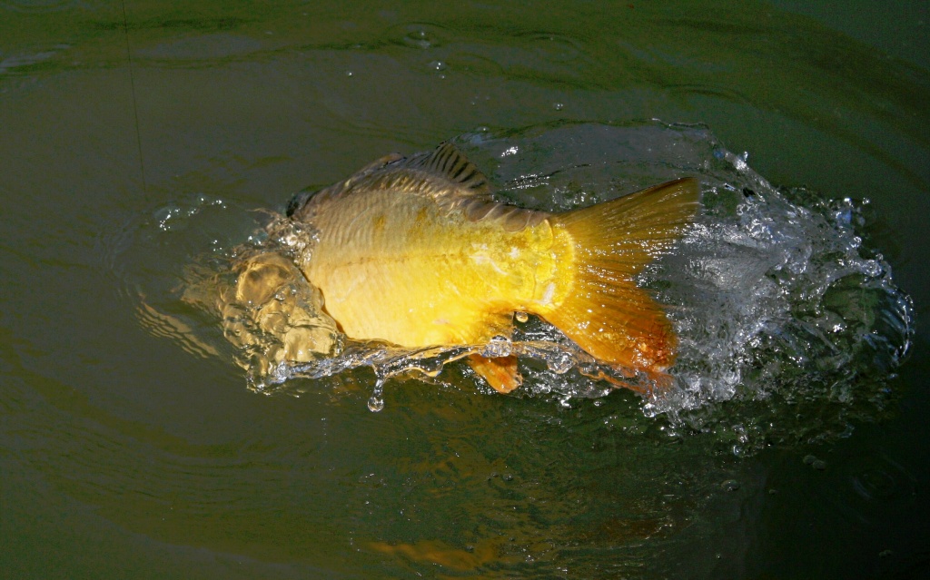 Souboj je�t� nen� u konce...