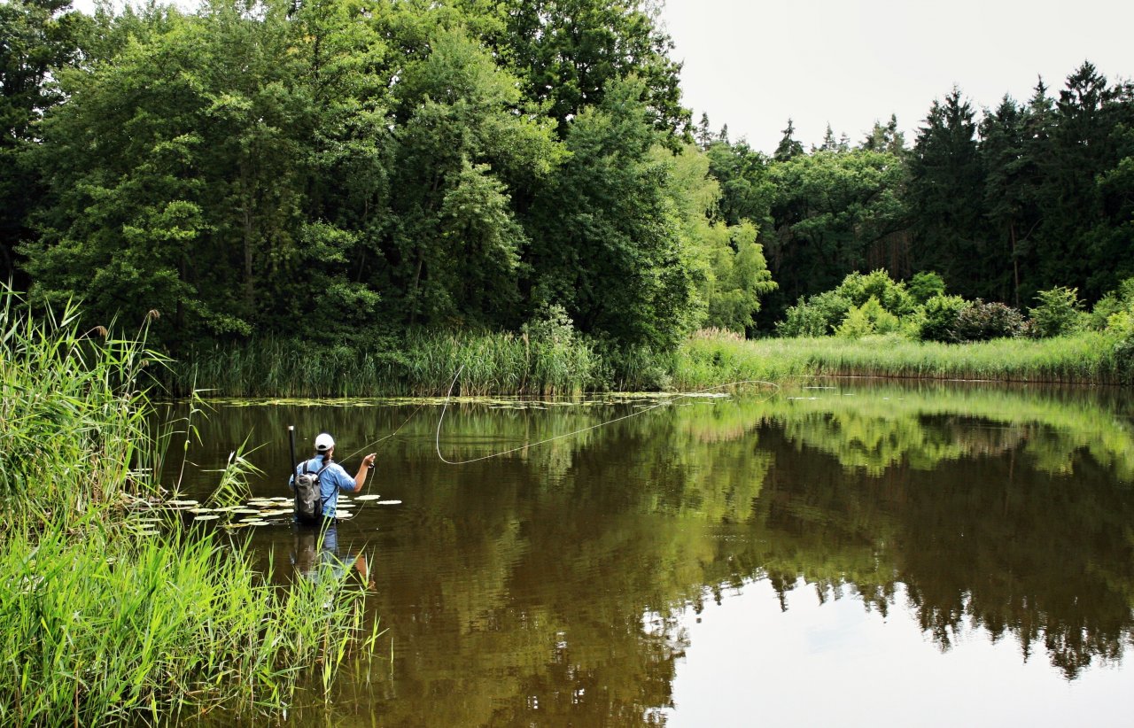 N�kdy jsou pot�eba del�� hody... Ale v�t�inou se bez nich sna��m obej�t!