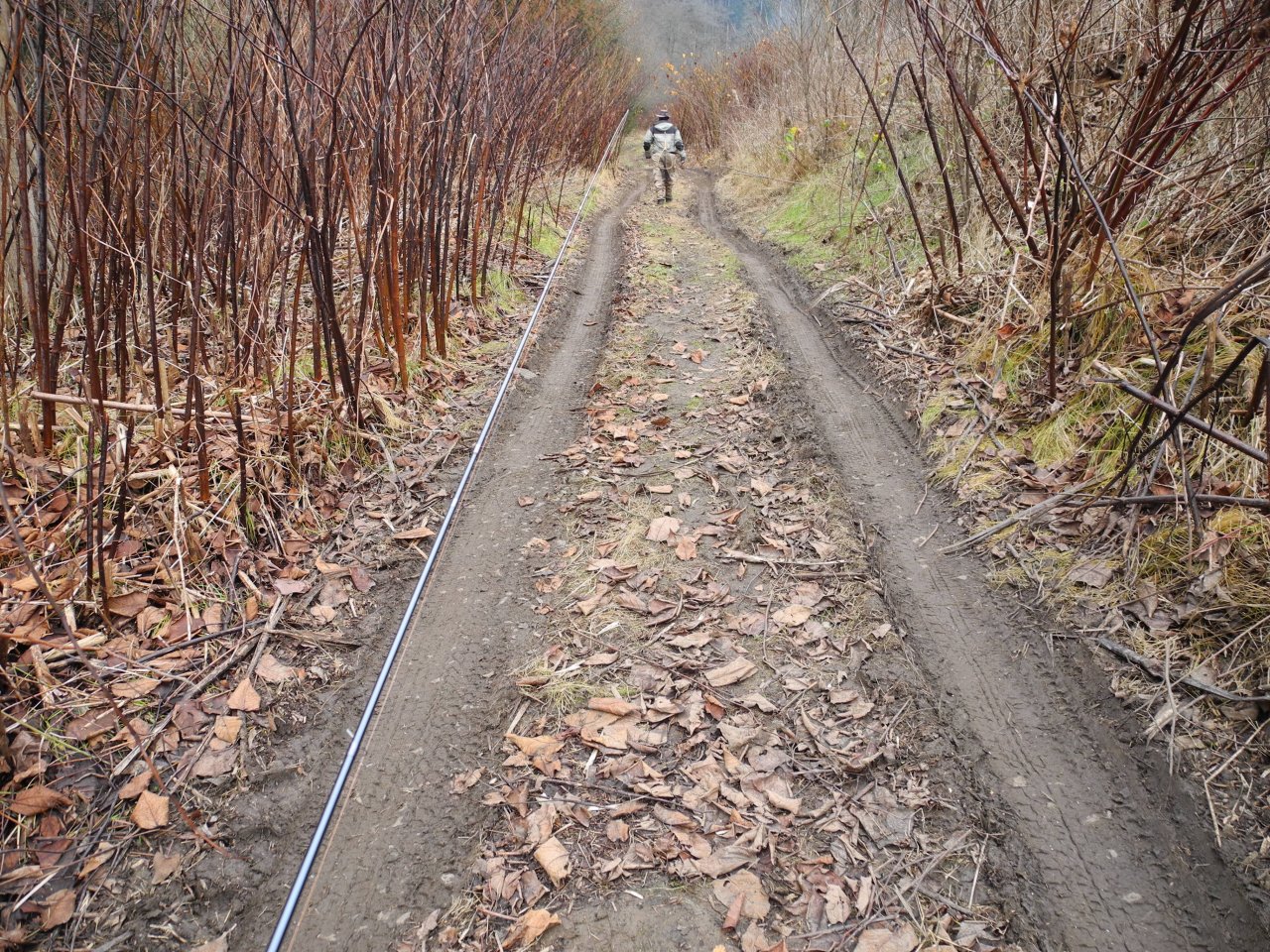 Na cest� k ���ce