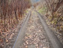 Na cestě k říčce