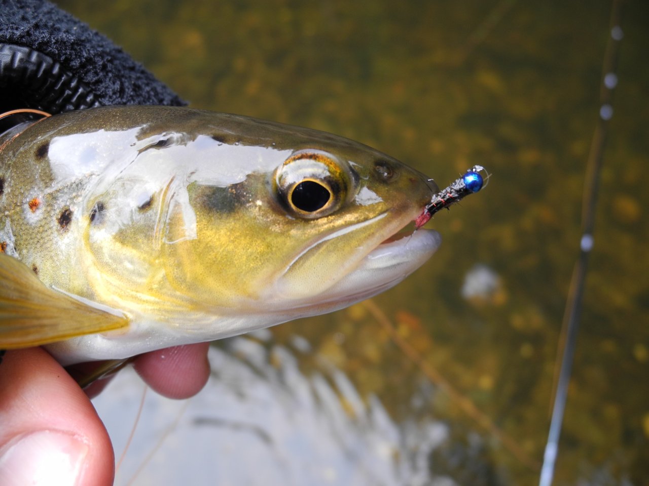 Dal�� poto��k 