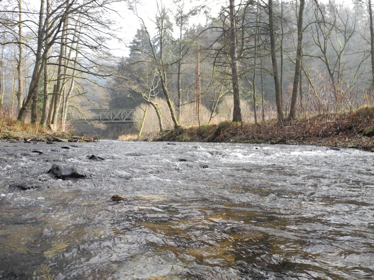 Pohled o�ima mal�ho ryb��e