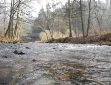 Pohled očima malého rybáře