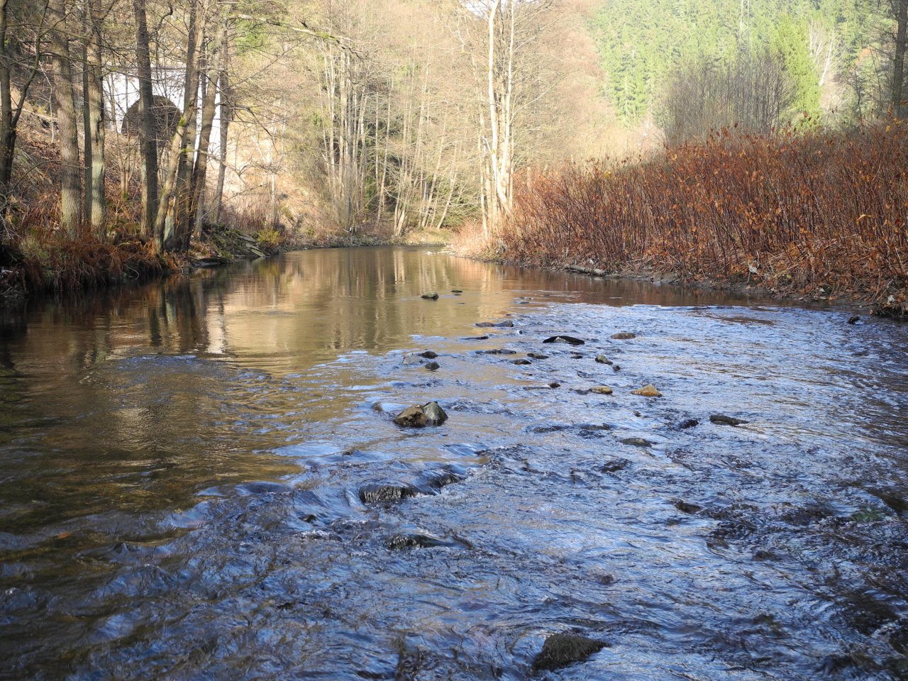 Odpoledn� slun��ko na Svatav�