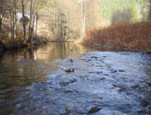 Odpolední sluníčko na Svatavě