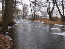 Zima na mimopstruhové Blanici