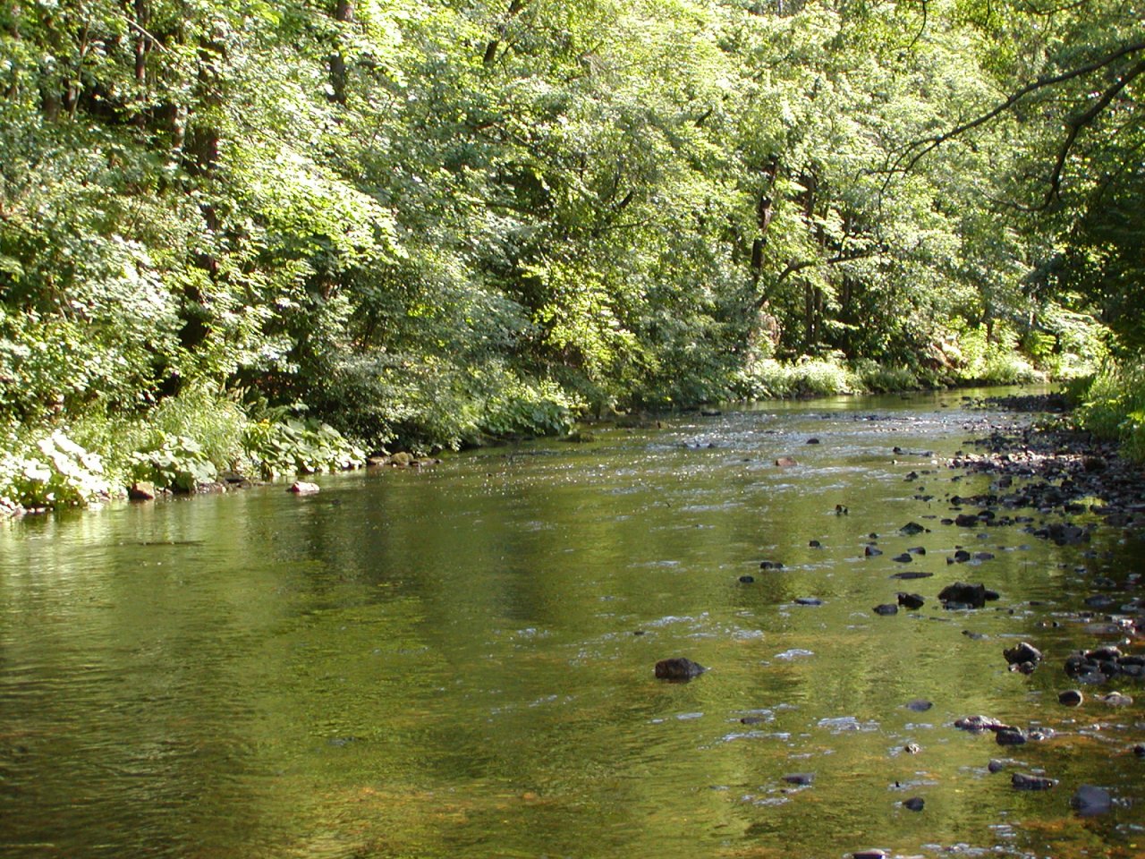 Tepl� v Karlov�ch Varech