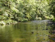 Teplá v Karlových Varech