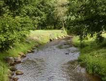 Teplá nad nádrží Březová