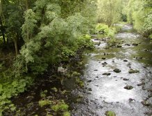 Teplá pod nádrží Březová