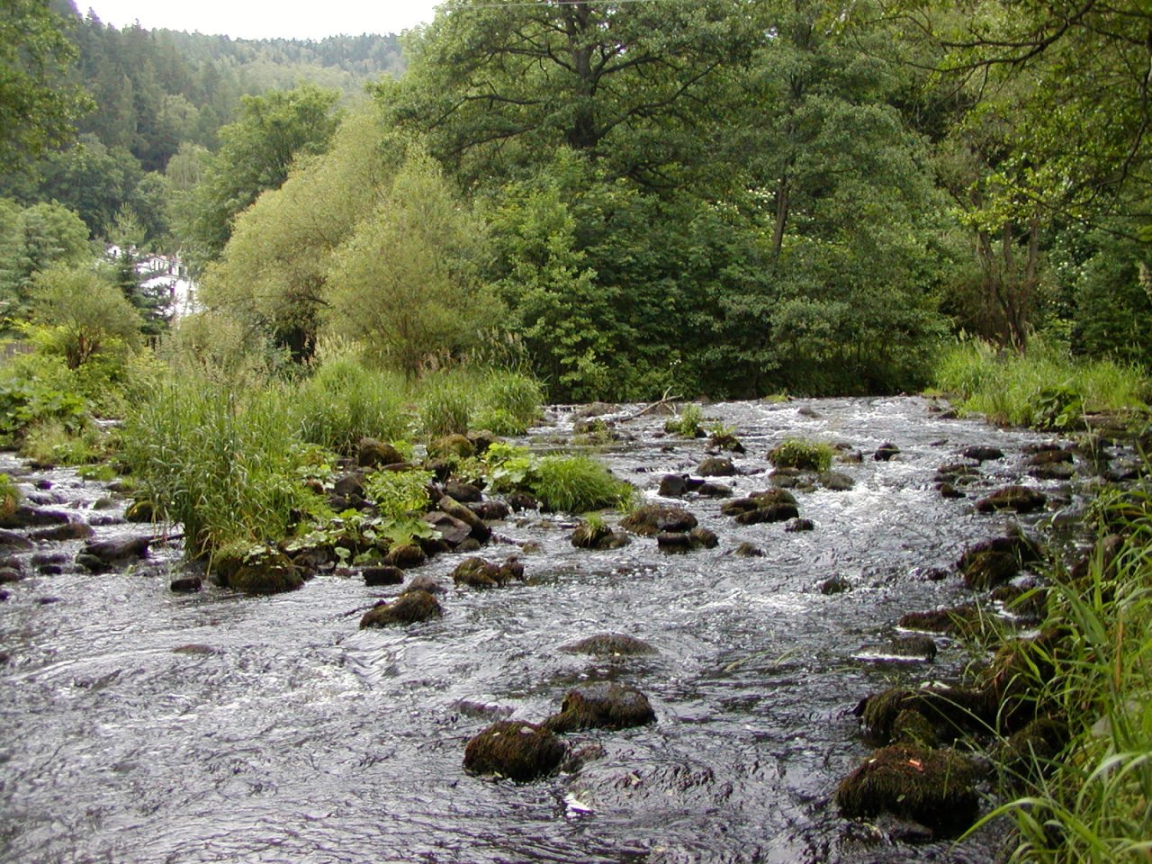 Tepl� pod n�dr�� B�ezov�